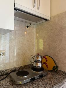 Küche/Küchenzeile in der Unterkunft İpek Apart Hotel