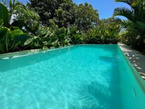 a swimming pool filled with lots of green water at Gaia Villas in Nungwi