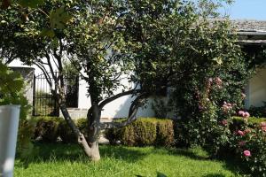 A garden outside Villa Katia with Sea view, Pourion, Zagora