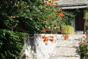 A garden outside Villa Katia with Sea view, Pourion, Zagora