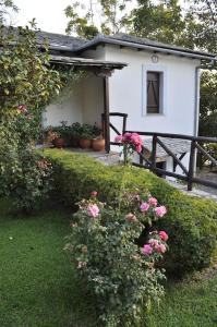 A garden outside Villa Katia with Sea view, Pourion, Zagora