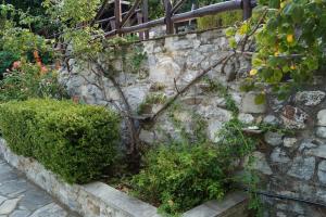 A garden outside Villa Katia with Sea view, Pourion, Zagora