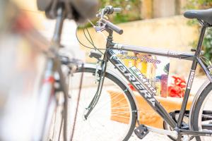Cykling ved Suite LA CONCHIGLIA località Caccia e Riserva eller i nærheden
