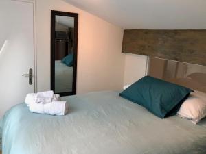 a bedroom with a large bed with a mirror at T2 en duplex & terrasse in Saint-Priest
