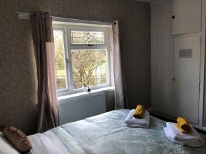 a bedroom with a bed and a window with two teddy bears at 3 Bed House - Sleeps 6 - Parking - Garden - WIfi in Pont-Nedd-Fechan