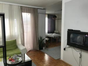 sala de estar con silla verde y TV en Dan i noc, en Banja Luka