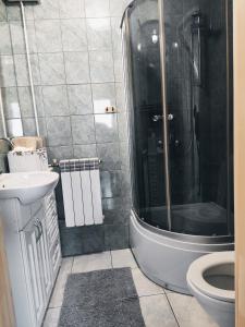 a bathroom with a shower and a sink and a toilet at Apartament w ogrodzie in Tylka +38 photos
