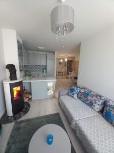 sala de estar con sofá y chimenea en Apartament Jantar Park en Jantar