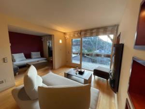 a living room with a couch and a tv at Appartement chic au centre in Escaldes-Engordany