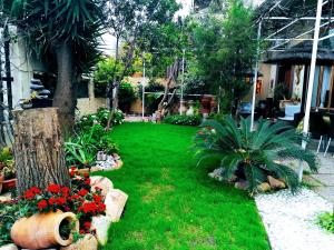a garden with red flowers and a tree at Villabeachcity Guesthouse in Cagliari