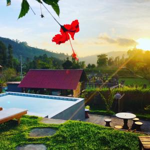 Bazén v ubytování Bukit Catu Bungalows nebo v jeho okolí