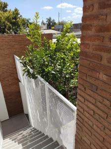 een balkon met trappen en planten in een gebouw bij Mi Limonero in Esperanza