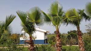 a white house with palm trees in front of it at Vila Valmonte in Monte da Pedra Alva