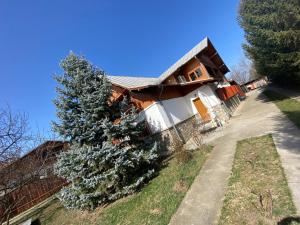 a house with a christmas tree in front of it at Cazare muncitori Ploiesti -workers accommodation in Ţînţăreni