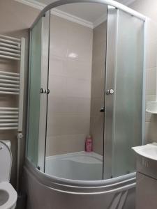 Phòng tắm tại Pensiunea Casa Domniței Sucevița