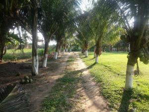Jardín al aire libre en Chacara Santa Barbara