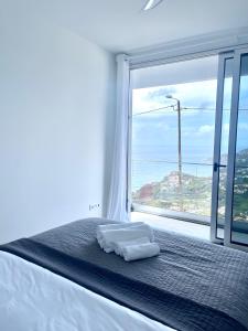 a bedroom with a bed with a large window at Villa Cassolino in Ribeira Brava