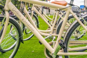 una fila di biciclette parcheggiate sull'erba di Golden Hotel a Marina di Cecina