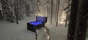 Billede fra billedgalleriet på Levillenet Bearlodge at Levi city centre i Levi