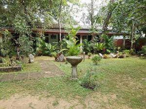 Taman di luar Sigiri Jungle Villa