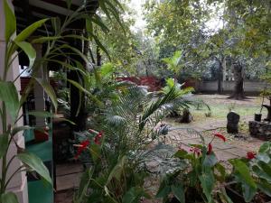 Taman di luar Sigiri Jungle Villa