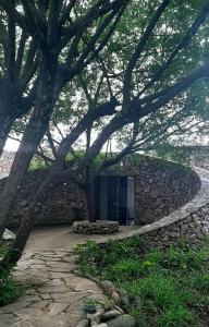 una pared de piedra con una puerta en medio de un árbol en Residencia en Tomatitas en Tarija