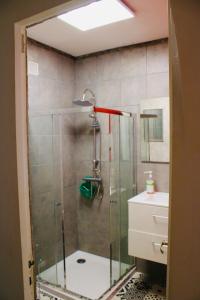a bathroom with a shower and a toilet and a sink at Villa I Bugni in Sisco