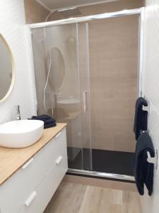La salle de bains est pourvue d'une douche et d'un lavabo. dans l'établissement Magnifique Studio Face Mer avec Place Privative., à Saint-Jean-de-Monts