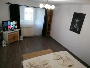 a bedroom with a bed and a television in a room at Insomnia Studio in Drobeta-Turnu Severin