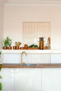 a kitchen counter with a sink and some plants at Oostending in Ostend