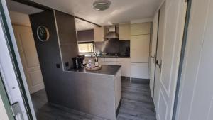 a small kitchen with a counter in a room at De Bonte Specht in Hattemerbroek