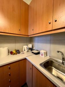 Kuchyňa alebo kuchynka v ubytovaní Loutraki Sunset Apartment