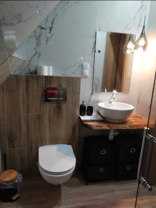 a bathroom with a sink and a toilet and a mirror at Luna in Poronin