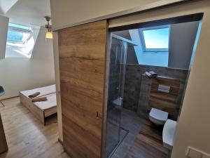 een badkamer met douche en toilet in een kamer bij Comenius Moravus vinařský dvůr in Mikulov +43 foto's