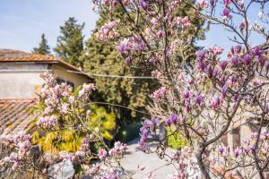Zahrada ubytování La Magnolia