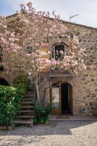 un edificio in pietra con un albero con fiori rosa di La Magnolia a Greve in Chianti