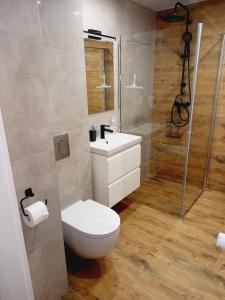 a bathroom with a toilet and a shower and a sink at Apartament PLUS 22 C in Sarbinowo