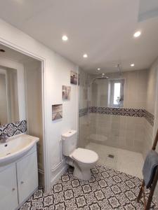 La salle de bains est pourvue de toilettes, d'un lavabo et d'une douche. dans l'établissement Appartement pied de plage, à Saint-Jean-de-Luz