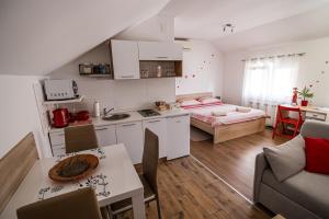 a small apartment with a kitchen and a bedroom at Sunny day apartments in Sveta Nedelja