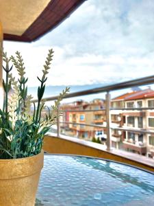 A balcony or terrace at Dune Apartment Nessebar