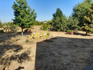 a yellow bike parked in a field with trees at agradable habitacion privada en casa rural con estacionamiento gratis en sus instalaciones in Chillán
