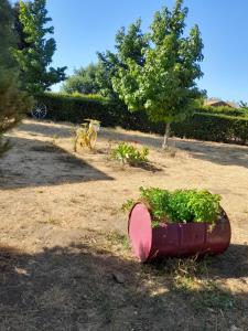 un sembrador rojo lleno de plantas en un patio en agradable habitacion privada en casa rural con estacionamiento gratis en sus instalaciones, en Chillán