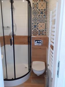 a bathroom with a shower and a toilet at Apartamenty nad Jeziorem in Międzybrodzie Żywieckie