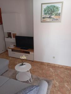 TV a/nebo společenská místnost v ubytování Apartments Šime