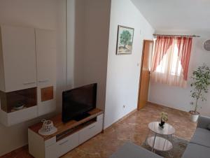 TV a/nebo společenská místnost v ubytování Apartments Šime