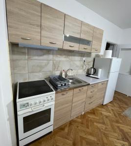 a kitchen with a stove and a sink and a refrigerator at Apartman Venera in Sombor