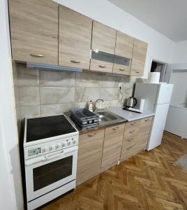 Kuchyň nebo kuchyňský kout v ubytování Apartman Venera