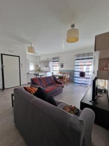 uma sala de estar com um sofá cinzento e uma cozinha em La casa azzurra em LʼAquila
