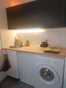 eine Küche mit einer Waschmaschine und einem Waschbecken in der Unterkunft Studio Gruissan La Presqu'île 2 in Gruissan