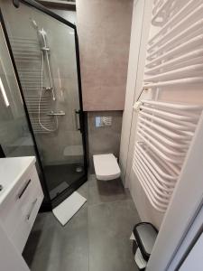 ein Bad mit einer Dusche, einem WC und einem Waschbecken in der Unterkunft Apartament Pod Radiostacją -Gliwice Tarnogórska, parking in Gliwice